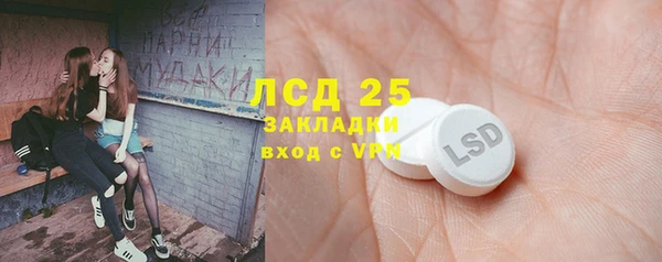 прущие грибы Магас