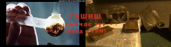 прущие грибы Магас
