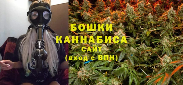 прущие грибы Магас