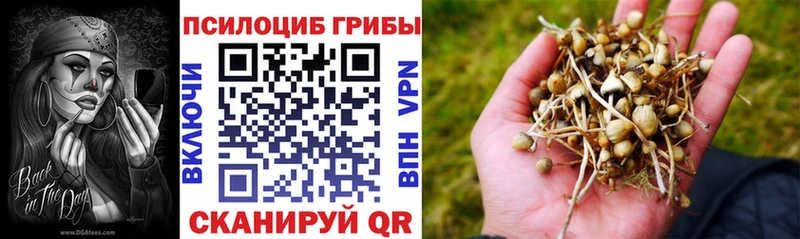 Псилоцибиновые грибы Psilocybe  что такое наркотик  МЕГА зеркало  Никольское 